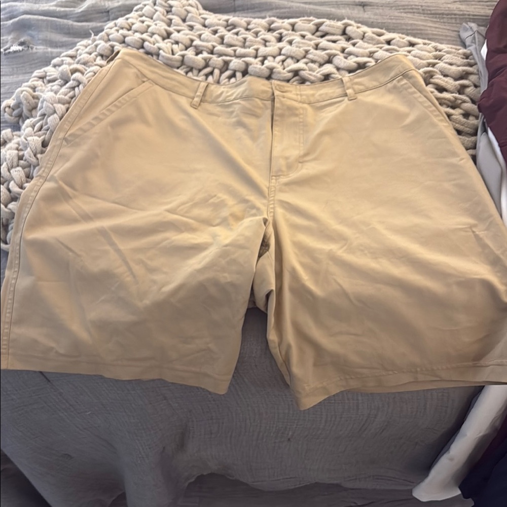 Champion Men's Beige Flat Front Shorts
